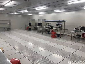 橋頭原房東塑膠電子廠 3000方空間，個(gè)人護(hù)理電器產(chǎn)業(yè)新機(jī)遇